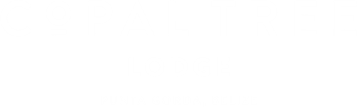 Logo for Copal Tree Lodge